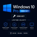Windows 10 Pro OEM Key