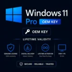 Windows 11 Pro OEM Key